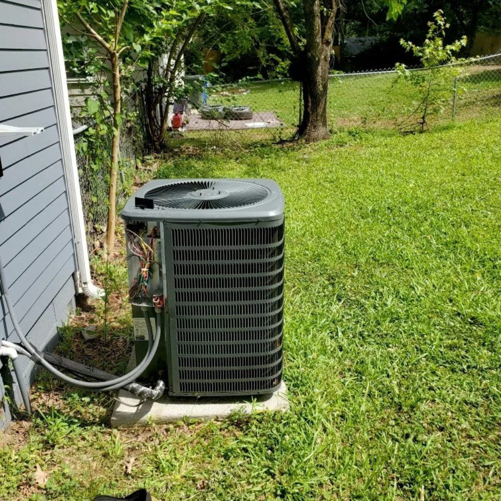 portfolio image 13