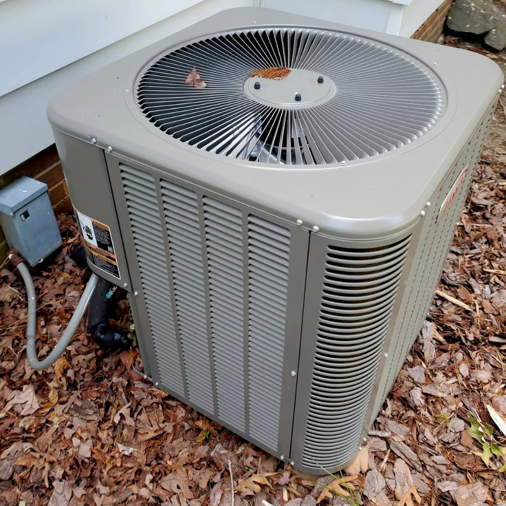 portfolio image 5