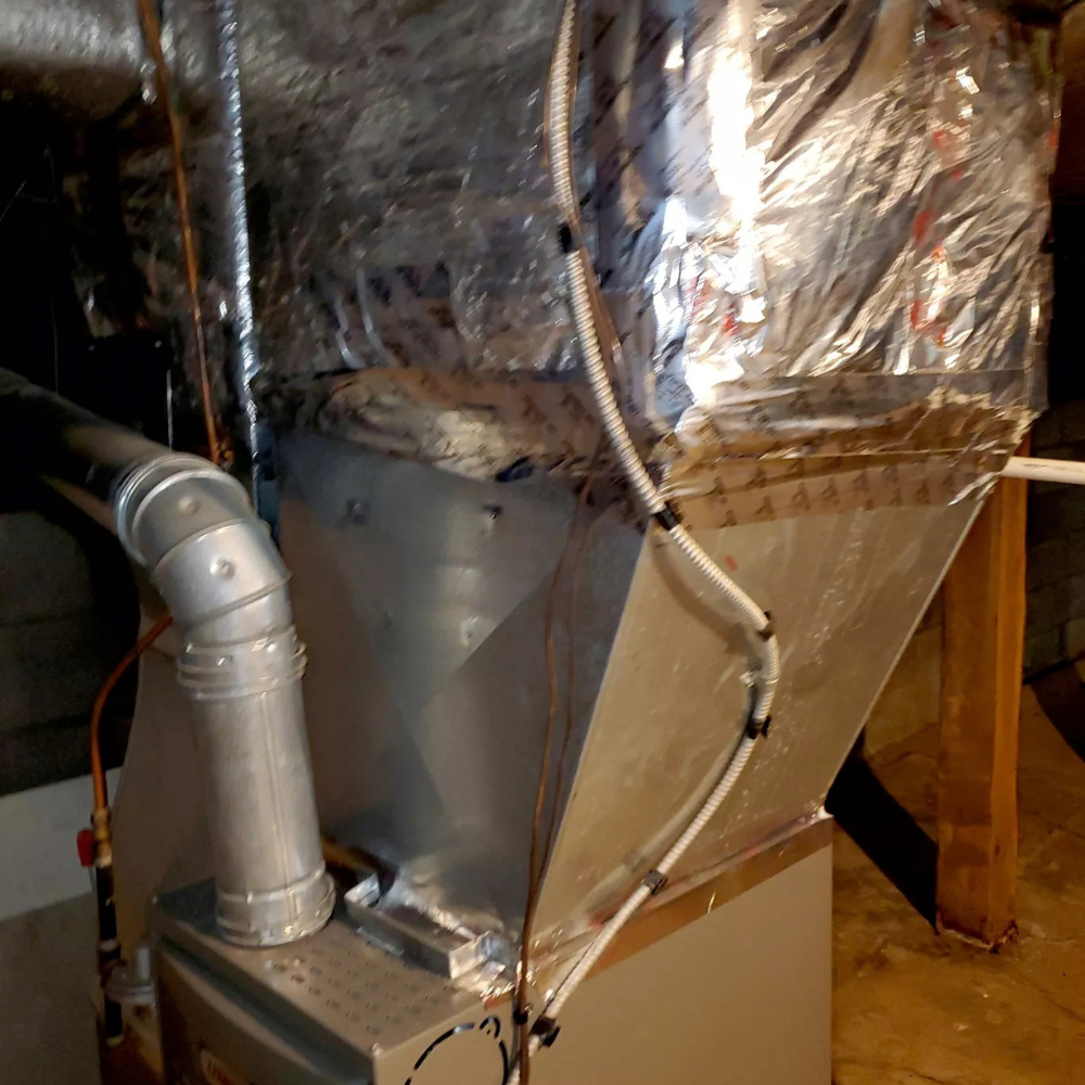 portfolio image 7